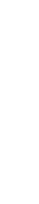 spine